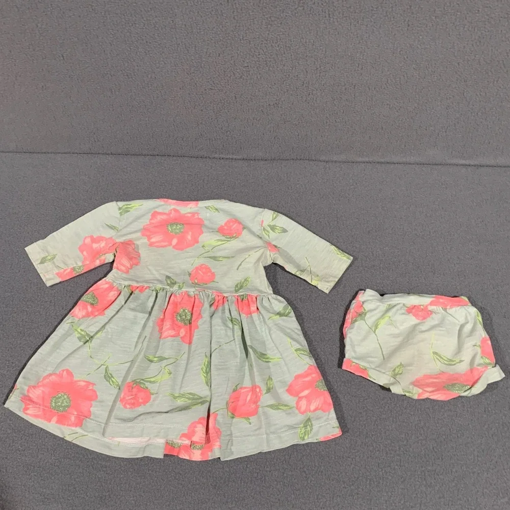 Baileys Blossoms Baby Girl Floral Dress‎ and Bloomers Set Sage Pink 6-9M